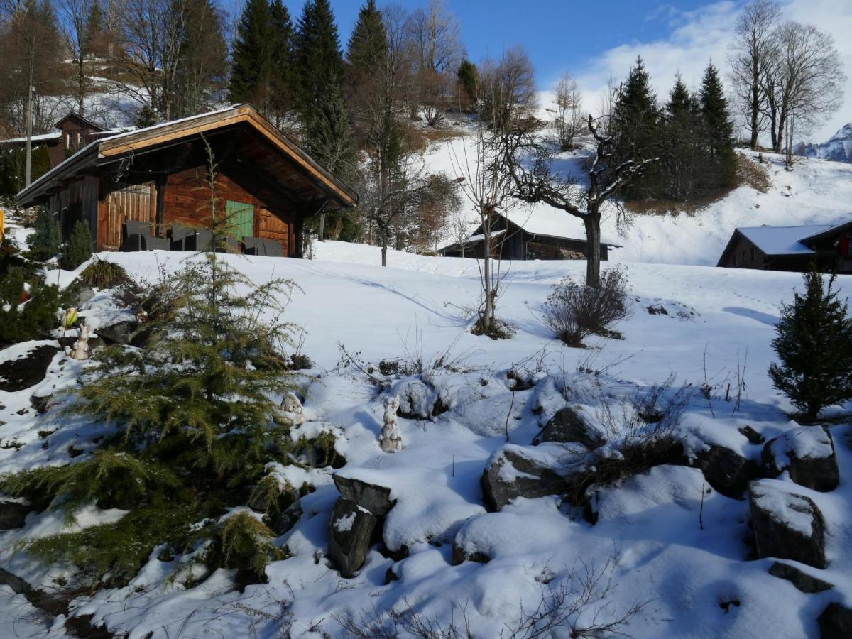 Apartment Chalet Schwendihus-6 By Interhome Grindelwald Zewnętrze zdjęcie