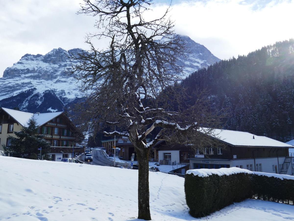 Apartment Chalet Schwendihus-6 By Interhome Grindelwald Zewnętrze zdjęcie