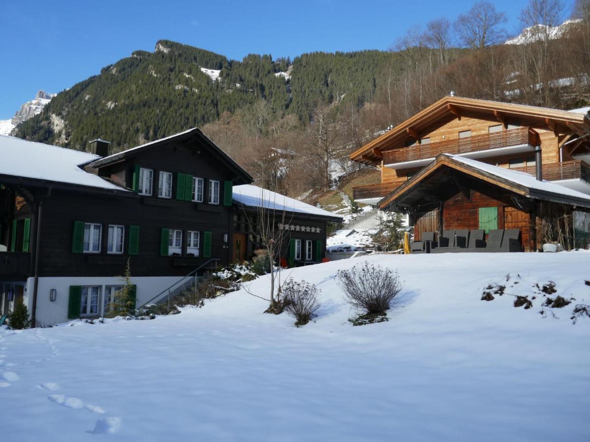 Apartment Chalet Schwendihus-6 By Interhome Grindelwald Zewnętrze zdjęcie