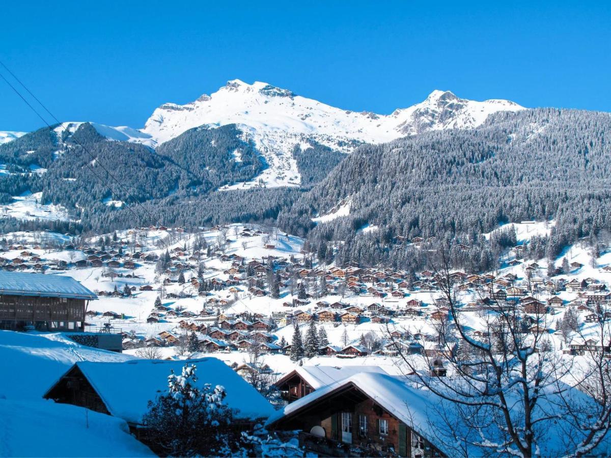 Apartment Chalet Schwendihus-6 By Interhome Grindelwald Zewnętrze zdjęcie