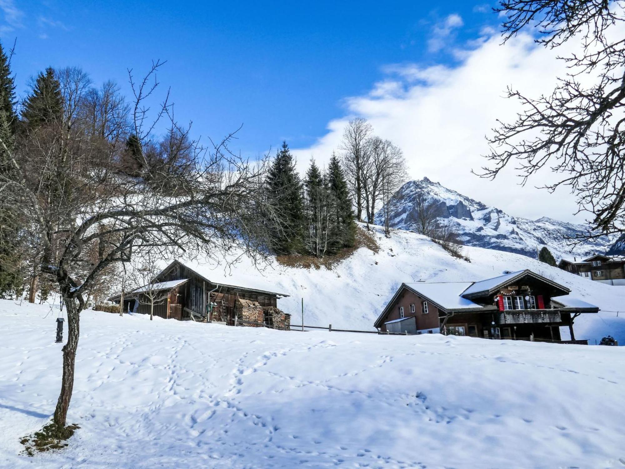 Apartment Chalet Schwendihus-6 By Interhome Grindelwald Zewnętrze zdjęcie